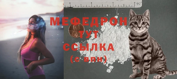 индика Нефтегорск