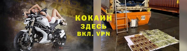 индика Нефтегорск