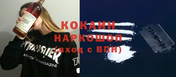 индика Нефтегорск