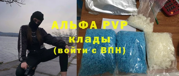 индика Нефтегорск