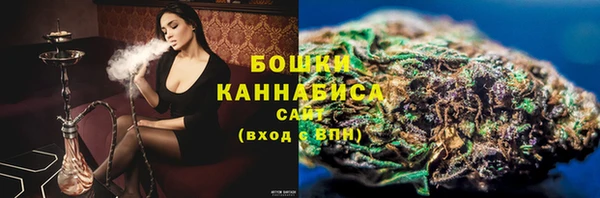 индика Нефтегорск